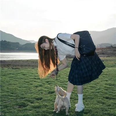 森林进化论第三季